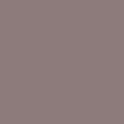 gray-brown color swatch
